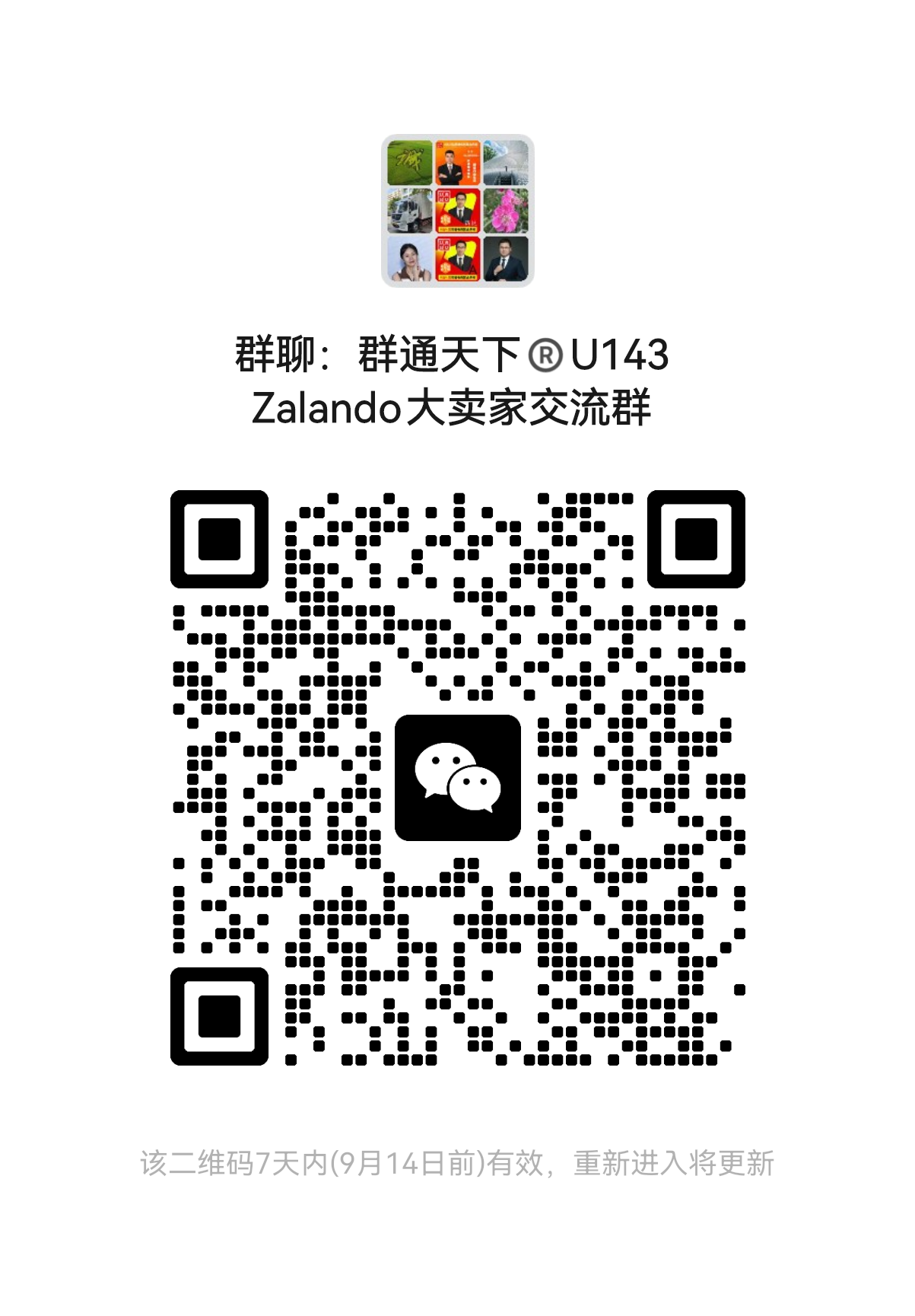 Zalando大卖家交流群