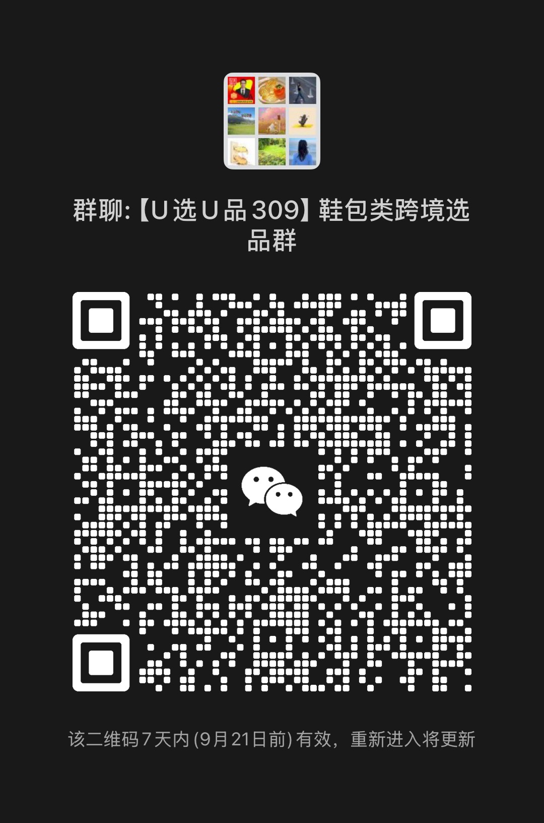 鞋子箱包类卖家选品群