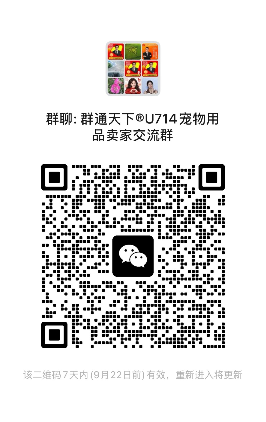 宠物用品交流群