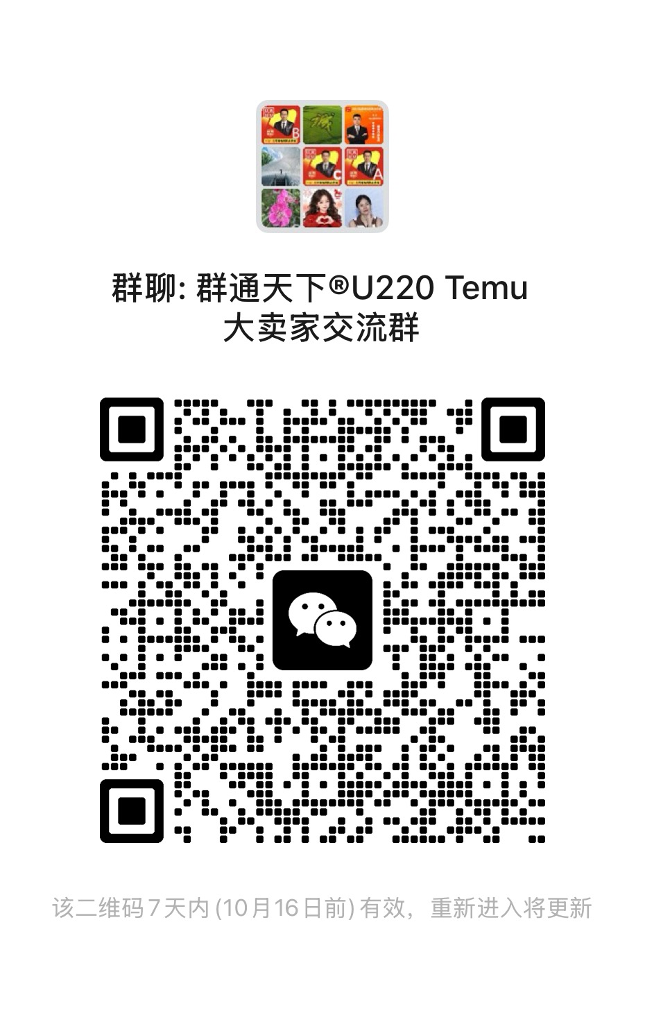 Temu交流群