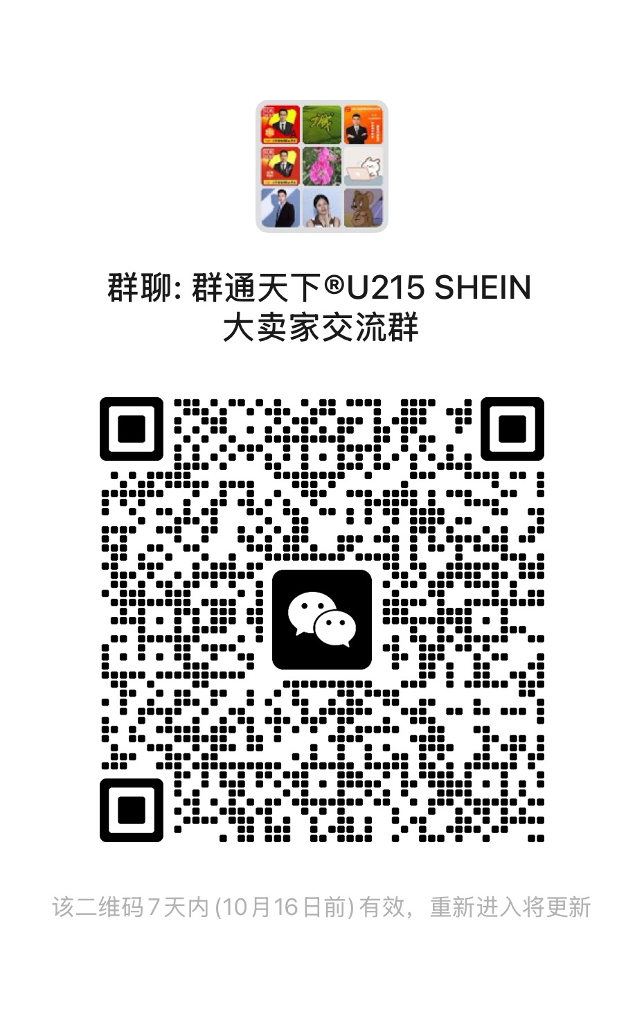 SHEIN交流群
